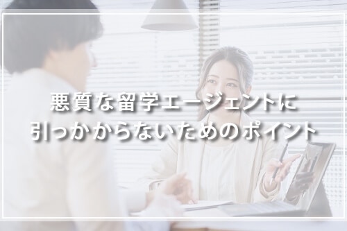 悪質な留学エージェントを見抜くポイント